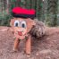 caga tio de nadal llarg 40cm