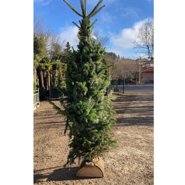 comida tipica de navidad en cataluna escudella